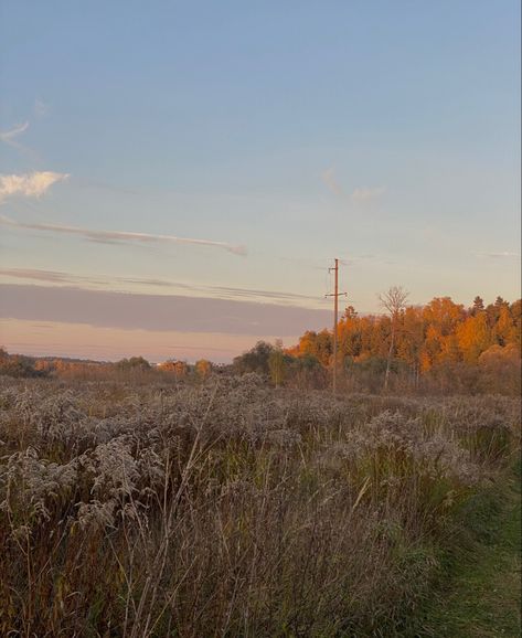 #fall #aesthetic #field #sunset #autumn Autumn Field Aesthetic, Open Field Aesthetic, Forrest Gump Frank Ocean, Aesthetic Field, Fall Field, Autumn Field, Sunset Autumn, Zepeto Background, Fairy Aesthetic