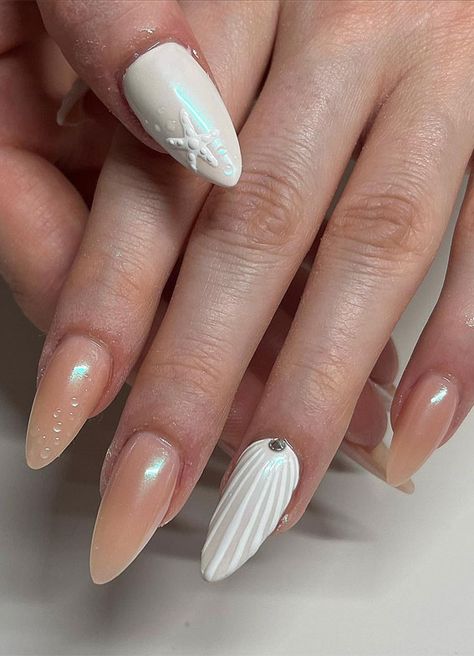 seashell nails, Seashell Nail color, Seashell Nail Polish Gel, Seashell acrylic Nails, Mermaid shell nails,Seashell nails simple, Seashell nails ideas, Seashell nails acrylic Nails Shell Design, Sea Shell Nail Designs, Seashell Nails Design, Sea Shell Nails, Nails Seashell, January Vibes, Seashell Nail Art, Shell Nail Art, Nails Mermaid