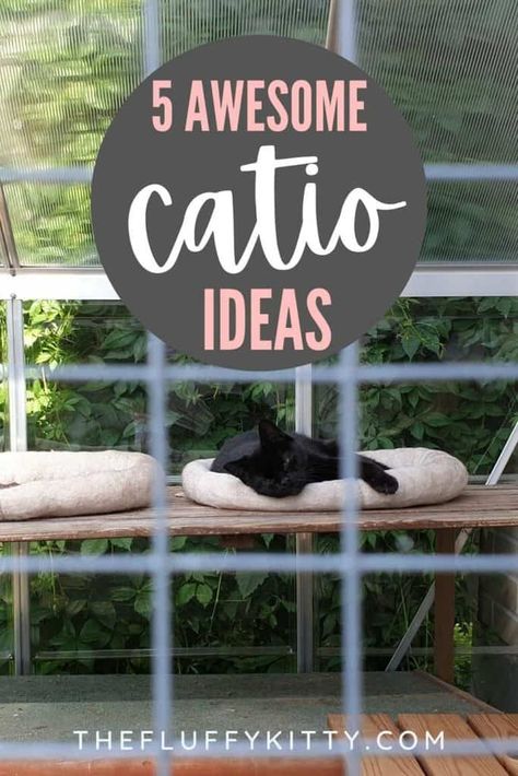 CATIOS! 5 Awesome Cat Outdoor Play Area Ideas - Fluffy Kitty Porch Cat Enclosure, Diy Catios For Cats Apartment, What To Put Inside Catio, Garage Cat Enclosure, Catio Cat Furniture, Catio Plans Diy Easy, Cat Skywalk, Window Catio Ideas For Cats Outdoor, How To Build A Catio For Cats