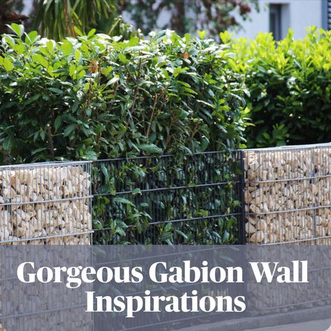 Gabion Wall Ideas Gabion Wall Ideas, Rock Wall Landscape, Gabion Wall Design, Backyard Ecosystem, Gabion Stone, Garden Dividers, Gabion Walls, Gabion Retaining Wall, Stepping Stone Walkways