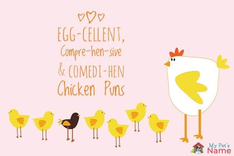 98 Chicken Puns: Egg-cellent, Compre-hen-sive & Comedi-hen Puns – My Pet's Name Chicken Quotes Cute, Chicken Captions For Instagram, Chicken Puns Funny, Funny Chicken Quotes, Salad Puns, Chicken Puns, Chicken Memes, Ffa Ideas, Chick Quotes