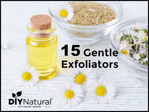 Gentle Exfoliator: A List of 15 Gentle Exfoliants Great for Sensitive Skin Stinging Nettle, Natural Beauty Diy, Diy Facial, Homemade Bbq, Homemade Cleaning Products, Natural Exfoliant, Facial Exfoliator, Oily Skin Care, Gentle Exfoliator