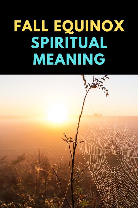 What is the spiritual meaning of the fall equinox? Spiritual Health, Spiritual Meaning, Happy Fall, Spiritual Awakening, The Fall, Reiki, Read More, Meant To Be, Spirituality