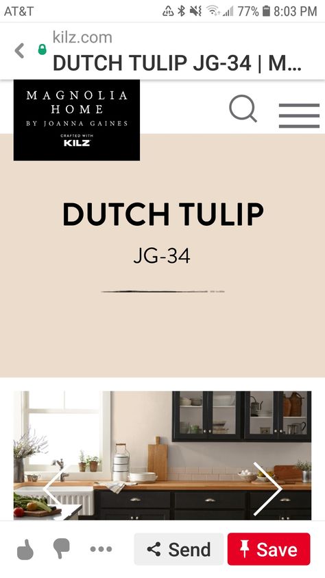 Dutch Tulip Paint Color, Dutch Tulip Magnolia Paint, Tulip Magnolia, Pink Apartment, Magnolia Paint, Dutch Tulip, Tulip Painting, Magnolia Homes, Apple Blossom