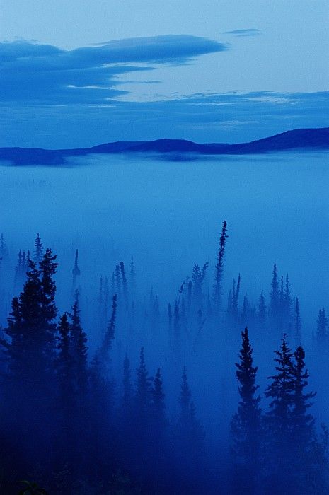 (via Fog At Dawn, Stewart Crossing, Yukon by Mike Grandmailson) Photo Bleu, Everything Is Blue, Darkness Falls, Blue Dream, Blue Hour, Love Blue, True Blue, Something Blue, Blue Tones