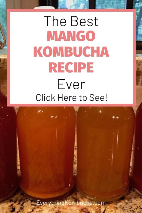 Kombucha Recipe Flavored, Kumbacha Recipe, Mango Kombucha Recipe, Mango Kombucha, Flavored Kombucha Recipe, Fermented Mango, How To Flavour Kombucha, Best Kombucha Flavors, Tepache Recipe