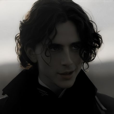 Regulus Black Pfp, Regulus Black Timothee Chalamet, Regulus Acturus Black, Dune Characters, Dune Film, Paul Atreides, Face Model, Prince Caspian, Timmy T