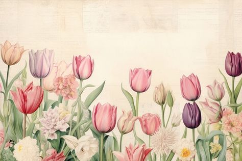 Tulip flowers border backgrounds painting | Premium Photo Illustration - rawpixel Backgrounds Painting, Flowers Border, Graphic Flowers, Plant Spacing, Book Style, Flower Border, Tulips Flowers, Download Free Images, Photo Illustration