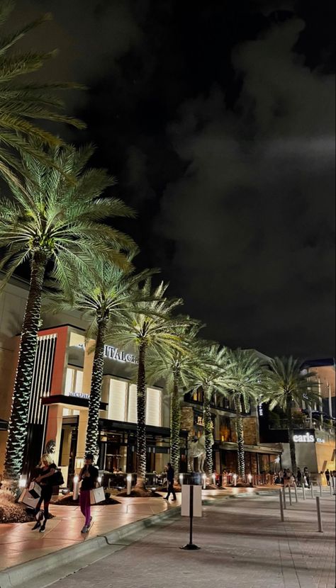 Rich Florida Aesthetic, Central Florida Aesthetic, Florida Mall Orlando, Orlando Florida Aesthetic, Fort Lauderdale Florida Aesthetic, Florida Night Aesthetic, Florida Nightlife, Florida Vibes, Florida Mall