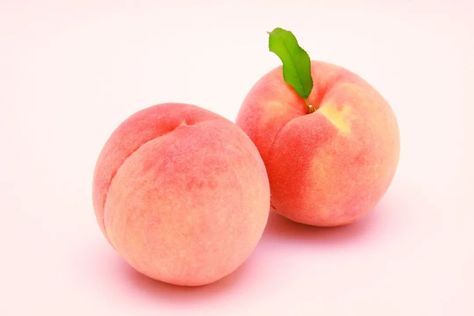 Peach Aesthetic, Peach Art, Peach Fruit, Fruit Plants, Dark Eyes, Just Peachy, Chinese Painting, Peach Pink, Peaches