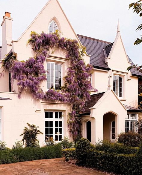 Top three unusual wisteria corners for you today. All from St John’s Wood, an area that’s underrated and one that I love 💜 Which one is your favourite? 📍St John’s Wood, London #ritafarhifinds #wisteria #wisteriaflowers #wisteriahysteria #stjohnswood #london St Johns, Wisteria, St John, French Country, Landscaping, I Love, London, Wood, Quick Saves