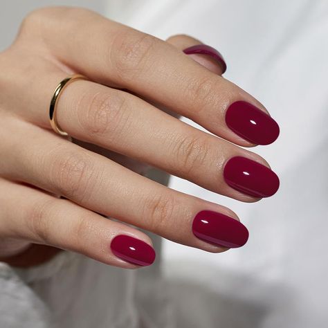 Short Rounded Red Nails, Red Oval Nails Short, Pink Burgundy Nails, Red Classic Nails, Short Nail Natural, Short Oval Red Nails, Short Gel Nails Red, Red Oval Acrylic Nails, Pinkish Red Nails