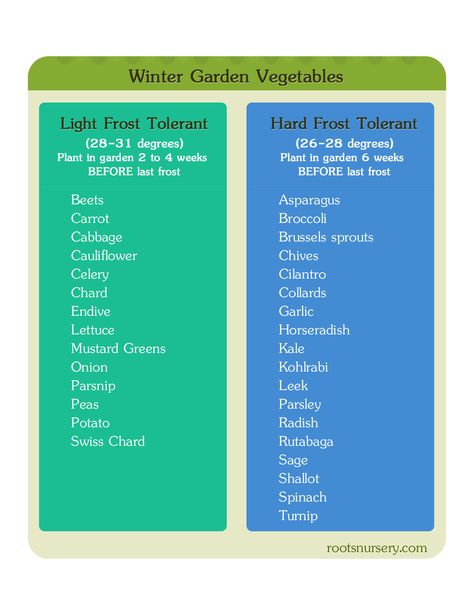 Winter Garden Vegetable Starter Chart Winter Garden Vegetables, Vegetable Chart, Garden Winter, Winter Greenhouse, Tattoo Plant, Winter Tips, Winter Crops, Fall Vegetables, Garden Vegetables