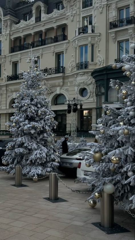 #Monaco #winter #snow #cold #wealthy #rich
Here you can see a hotel in Monaco in the background but in the front there are two trees full with snow. This is what Monaco looks like during the winter time. Monaco Winter, Money Wallpapers, Christmas Bts, Europe Living, Holidays Outfits, Rich Christmas, Santa Tell Me, Money Background, Paris Christmas