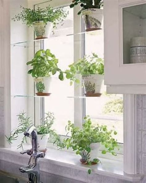 Kitchen Sink Plant Shelf, Herb Garden Shelf, Grow Food Inside, Kitchen Island Booth, Island Booth, Window Herb Garden, Garden Shelf, Garden Shelves, Grow Food