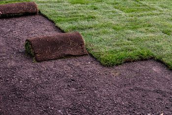 How To Lay Sod, Sprinkler System Installation, Sod Grass, Landscaping Business Cards, Grass Species, Sod Installation, Landscaping Business, Landscaping Images, Home Landscaping