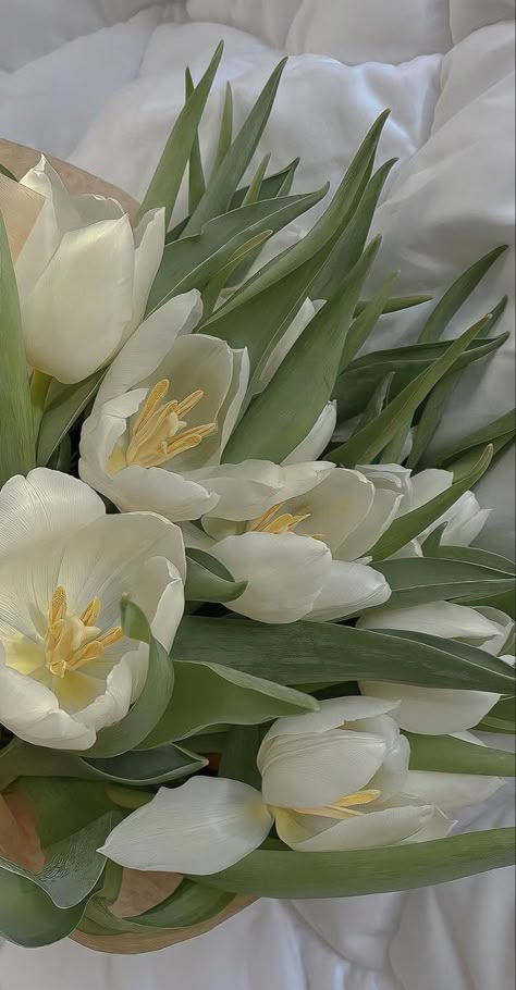 Sage Aesthetic, Sage Green Aesthetic, Mint Green Aesthetic, Sage Green Wallpaper, Nothing But Flowers, Green Theme, Flower Therapy, White Tulips, Spring Aesthetic