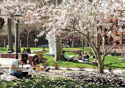 Pratt Institute's Brooklyn Campus in the beautiful Clinton Hill section of Brooklyn. Boarding School Aesthetic, Clinton Hill, Pratt Institute, Photo Shoot Location, School Campus, College Aesthetic, Dream College, Neighborhood Guide, Summer Program