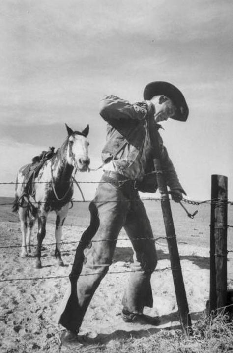 Rodeo Photos, Saddle Tramp, Cowboy Vibes, Cowboy Artwork, Ranch Cowboy, Cowboy Photography, Farming Life, Pure Country, Cowboy Ranch