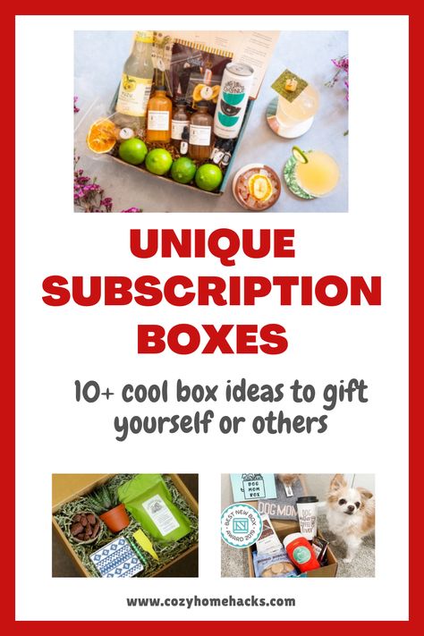 Coffee Subscription Boxes, Free Subscription Boxes, Freebie Websites, Subscription Boxes For Men, Subscription Box Business, Food Subscription Box, Love For Yourself, Boxes Ideas, Best Subscription Boxes