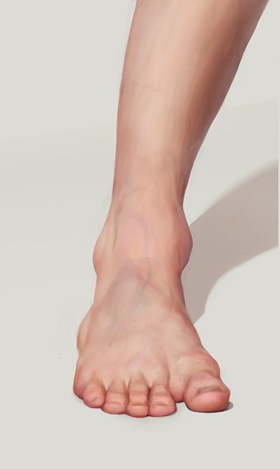 Feet Reference Drawing Step By Step, Leg Reference, Leg Anatomy, Feet Drawing, Anatomy Tutorial, Human Anatomy Drawing, Hand Drawing Reference, Human Anatomy Art, Anatomy Sketches