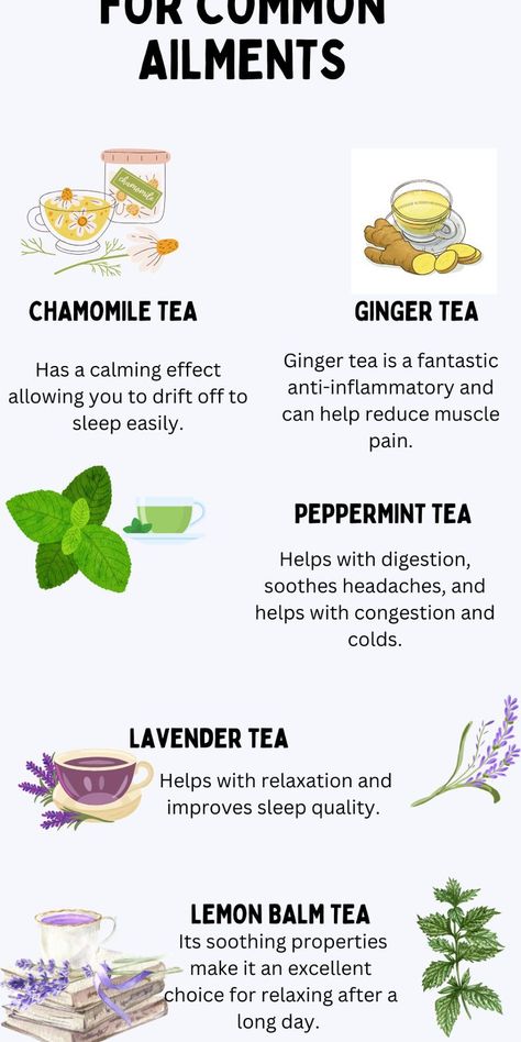 Feeling under the weather? These best herbal teas are here to help! From sage tea for sore throats to calming chamomile tea for sleep, we're sharing 14 powerful herbal tea remedies. Discover the magic of lavender tea, echinacea tea, and more natural solutions. Head to the blog for our complete guide to drinking herbal tea for wellness! ✨ Tea For Sleep, Best Herbal Teas, Herbal Tea Remedies, Sore Throat Tea, Natural Healing Herbs, Echinacea Tea, Sage Tea, Tea Remedies, Best Herbal Tea