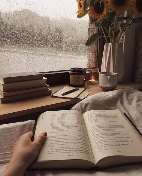 Autumn Aesthetic Tumblr, Reading Pictures, Phineas E Ferb, Cozy Rainy Day, Aesthetic Writing, Aesthetic Reading, Rainy Day Aesthetic, Reading Aesthetic, Book Lights