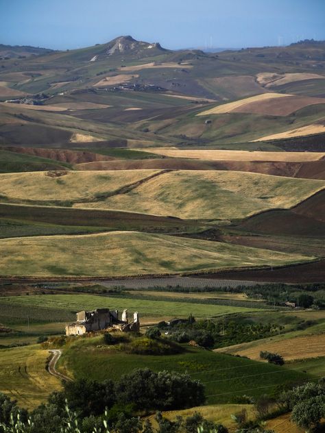 Sicilian Countryside #Sicily Sicily Countryside, Sicilian Aesthetic, Sicilian Countryside, Sicily Landscape, Syracuse Sicily, Sicilian Wedding, Minas Tirith, Tree Story, Italian Countryside