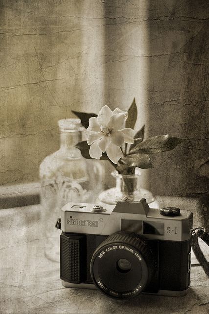 Tone Photography, My Love Photo, Ideas Cuadros, Era Victoria, Sepia Photography, Camera Art, Old Cameras, Old Camera, Vintage Cameras