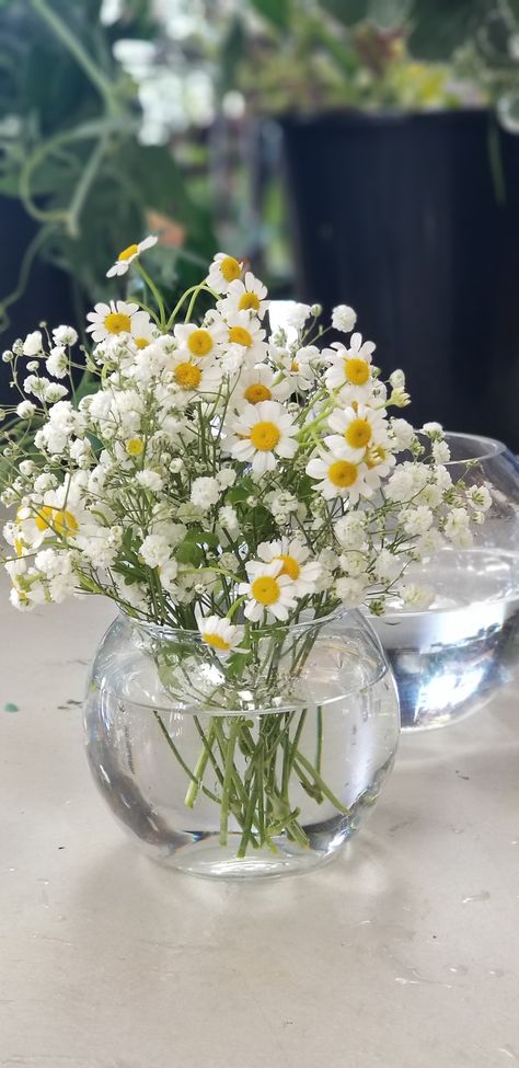 Daisies Centerpieces, Daisy Table Centerpieces, Daisy Themed Birthday Party Ideas, Babies Breath Arrangements, Daisies Table Decoration, Daisy Engagement Party, Daisy Table Decor, Wedding Daisies, Daisy Table Decorations