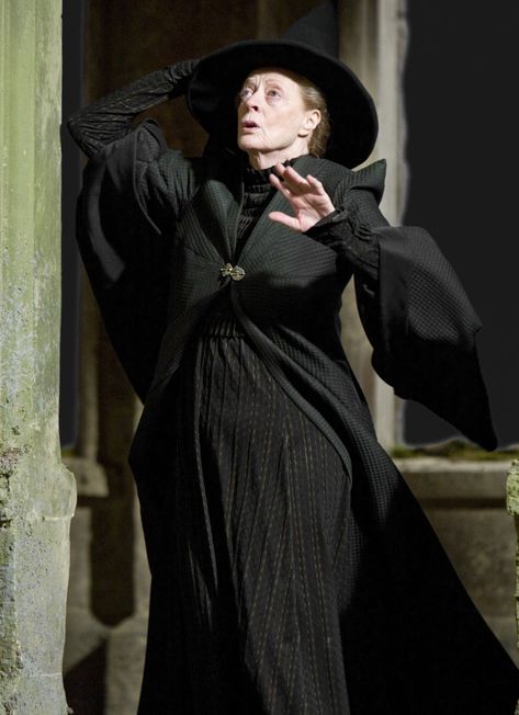 Professor McGonagall ... Professor Mcgonagall, Minerva Mcgonagall, Welcome To Hogwarts, Hogwarts Castle, Maggie Smith, Harry Potter Cast, Harry Potter Movies, Harry Potter Characters, Harry Potter Universal