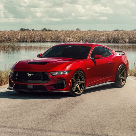 2024 Ford Mustang GT (S650) Mustang Gt 2024, Mustang 2024, 2024 Ford Mustang, Mustang Gt350, Mercury Capri, Ford Mustang Shelby, Henry Ford, Mustang Shelby, Ford Mustang Gt