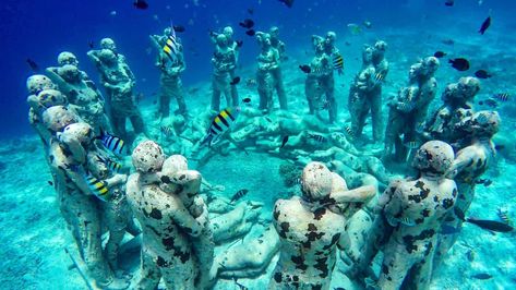 Gili Meno Statues: A Guide to the Underwater Statues in Indonesia Underwater Statues, Bali Tour Packages, Gili Meno, Underwater Sculpture, Trip To Bali, Concrete Statues, Human Sculpture, Gili Trawangan, Life Size Statues