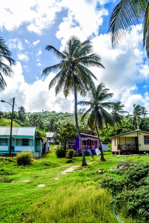 Jamaica Moodboard, Chattle Houses, Barbados Travel, Bridgetown Barbados, Bridgetown, Caribbean Vacations, Caribbean Beaches, Caribbean Travel, Caribbean Island