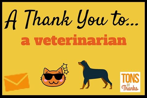 If your veterinarian has provided you and your pet exceptional service write them a handwritten thank-you note! This post includes thank you note examples. Thank You Veterinarian Quotes, Sit Quotes, Veterinarian Quotes, Note Examples, To Thank Someone, Thank You Printable, Thank You For Caring, Pet Boarding, Cat Sitter