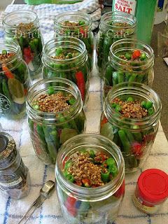 Spicy Pickled Green Beans | Drick's Rambling Cafe Spicy Pickled Beans, Spicy Pickled Green Beans, Pickled Green Bean Recipes, Spicy Green Beans, Pickled Foods, Pickled Green Beans, Dilly Beans, Pickled Peppers, Canning Pickles