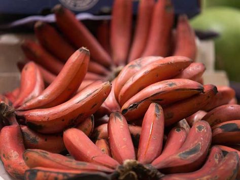 Red bananas are a subgroup of bananas from Southeast Asia with red skin and a sweet flavor. Here are 7 benefits of red bananas — and how they differ from yellow ones. Fiber Benefits, Low Gi Diet, Banana Health Benefits, Red Banana, Banana Benefits, Healthy Nuts, Filling Snacks, Fiber Diet, Banana Fruit