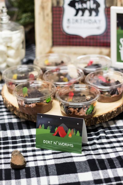 Happy Camper Birthday Party, Camping Theme Birthday Party, Camp Birthday, Camping Theme Birthday, Birthday Camping, Camp Party, Lumberjack Birthday, Indoor Camping, Camping Theme Party