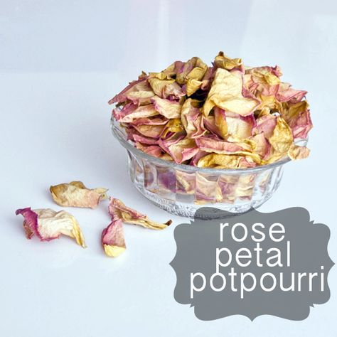 Make This Sweet Homemade Rose Petal Potpourri Rose Petal Potpourri, Potpourri Diy, Rose Potpourri, Candle Recipes, Simmer Pots, Homemade Potpourri, Potpourri Recipes, Simmer Pot, Diy Rose