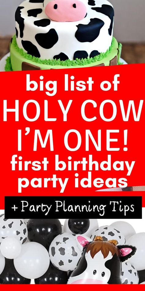 cow themed first birthday party 1st Birthday Party Food Ideas Cow Theme, Holy Cow I’m One Party Foods, Cow Print 1st Birthday Girl, Holy Cow I’m One Food Ideas, Holy Cow I’m One Decorations, Holy Cow Im One Birthday Girl Decor, Holy Cow Birthday Party Ideas, Holy Cow I’m One Girl, Cow Birthday Party Ideas