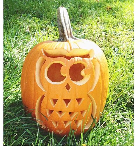 Owl Pumpkin!🎃 Pumpkin Carving Owl Ideas, Pumpkin Owl Carving, Nursing Pumpkin Carving Ideas, Easy Owl Pumpkin Carving, Owl Pumpkin Carving Template, Halloween Pumpinks, Owl Pumpkin Carving Ideas, Owl Jack O Lantern, Owl Pumpkin Carving