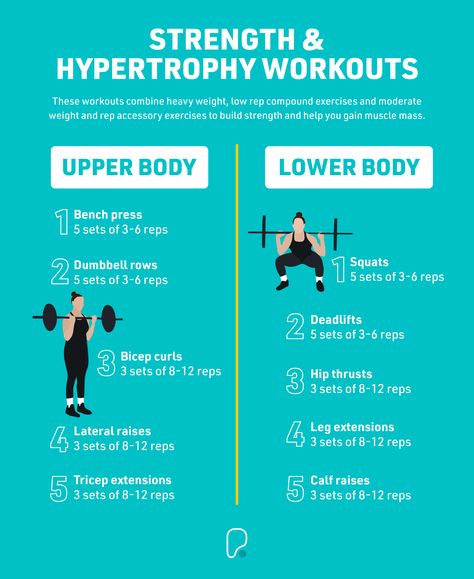 Train for muscular hypertrophy and strength gain with these gym workouts. Learn how to maximise strength and hypertrophy on our blog. Hyrox Workout, Hypertrophy Workout, Personal Training Workouts, Gym Tips For Beginners, Hypertrophy Training, Free Workout Plans, Strength Training For Beginners, Gain Muscle Mass, Best Workout Plan