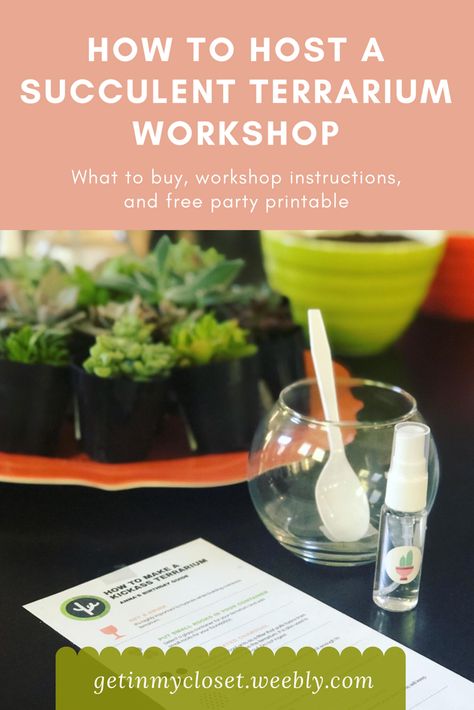 Succulent Soil Layers, Terrarium Workshop Ideas, Terrarium Party Ideas, Succulent Workshop Ideas, Plant Workshop Ideas, Terrarium Birthday Party, Terrarium Care, Terrarium Party, Succulent Workshop