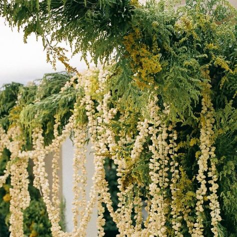 K A T I E  W A C H O W I A K on Instagram: "Chuppah garlands   Design and planning @fireflyevents  Photography @jesworkman  Venue @cranbrookhouseandgardens  Featured @vogueweddings  . . . #weddinginspiration#destinationwedding  #organicweddingflowers #naturalflowers #wedding #seasonalflowers #travelwedding #weddinggarlands #summerwedding" Garden Chuppah, Organic Wedding Flowers, Wedding Chuppah, Flower Installation, Garland Wedding, April 7, Seasonal Flowers, Flower Garlands, Travel Wedding