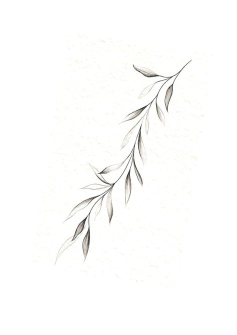 Willow Leaf Tattoo Arm, Leaf Tattoo Under Breast, Simple Branch Tattoo, Flora Tattoos For Women, Willow Tree Leaves Tattoo, Zweig Tattoo, Willow Leaves Tattoo, Vine Leaf Tattoo, Willow Leaf Tattoo