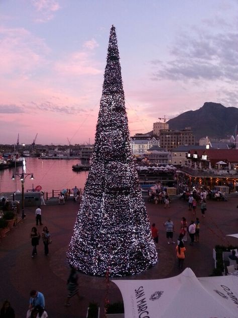 Waterfront, Cape Town, South Africa Christmas South Africa, Christmas In Africa, South African Christmas, Christmas In South Africa, Waterfront Cape Town, International Studies, African Christmas, Christmas Destinations, Travel Africa