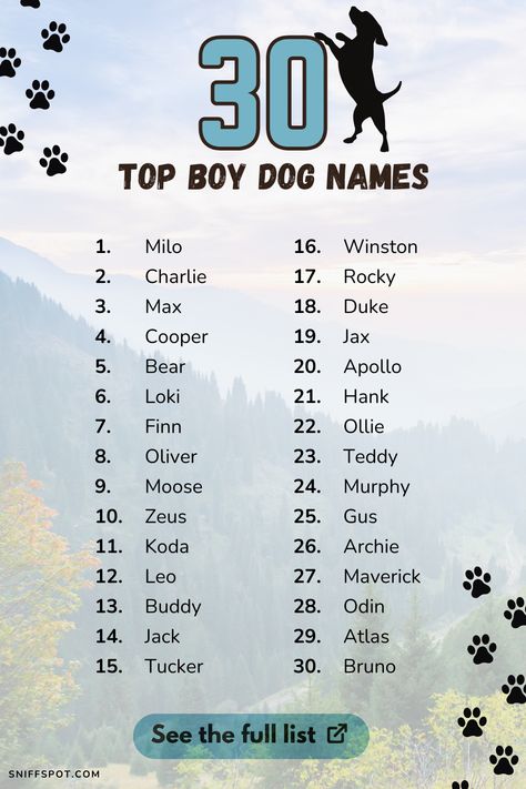 Looking for a one-of-a-kind name for your boy dog? Discover rare, creative, and meaningful male dog names that are as special as your pup. From ancient mythology to modern inspiration, find the perfect unique name for your furry friend. #dognames #puppynames #maledognames