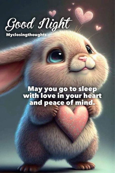 Sweet Good Night, Cute Good Night Quotes, Good Night Hug, Good Night Blessings Quotes, Good Morning Quotes Friendship, Good Night Prayer Quotes, Beautiful Good Night Quotes, Good Night Funny, Beautiful Good Night Images