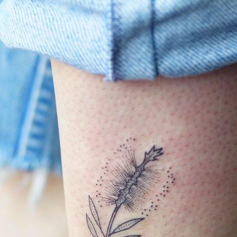 Kalula Tattoo, Bottle Brush Flower, Brush Flower, Botanical Tattoo, Hand Poke, December 19, Bottle Brush, Tattoos, Flowers