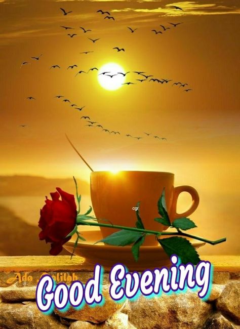 Good Evening Wishes Awesome, Good Evening Images Awesome, Good Night Post, Good Evening Photos, Good Evening Images, Evening Images, Evening Wishes, Greetings For The Day, Good Evening Wishes